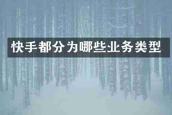 快手都分为哪些业务类型
