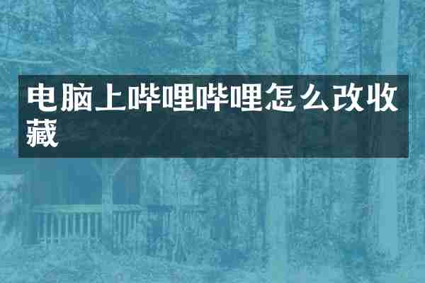 电脑上哔哩哔哩怎么改收藏