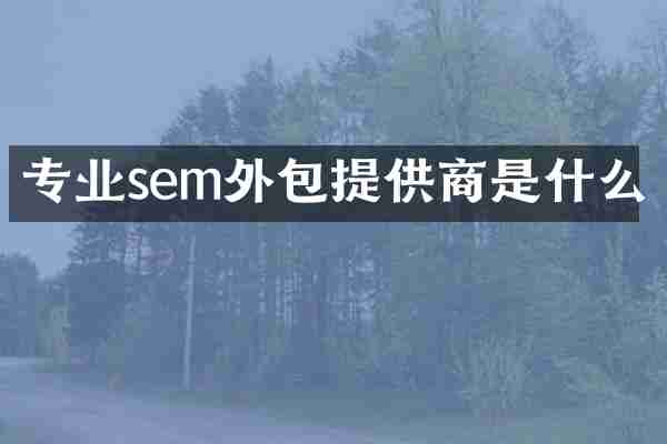 专业sem外包提供商是什么