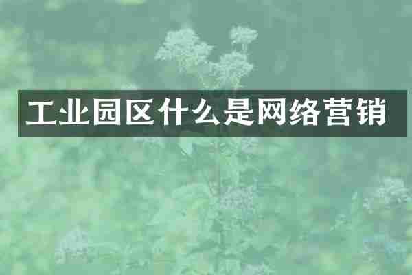 工业园区什么是网络营销