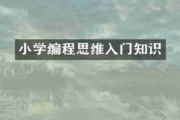 小学编程思维入门知识