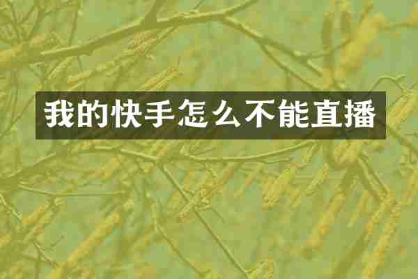 我的快手怎么不能直播