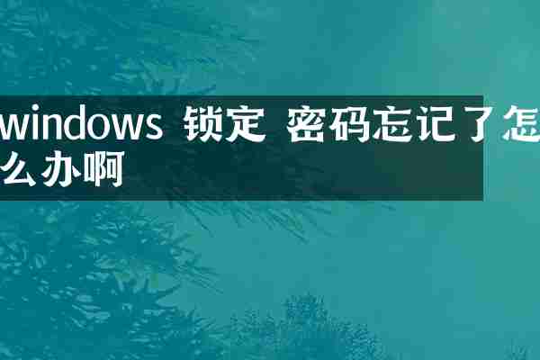 windows 锁定 密码忘记了怎么办啊