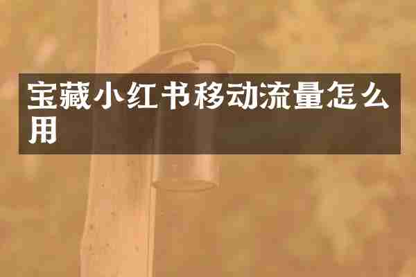 宝藏小红书移动流量怎么用