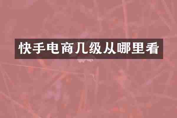 快手电商几级从哪里看