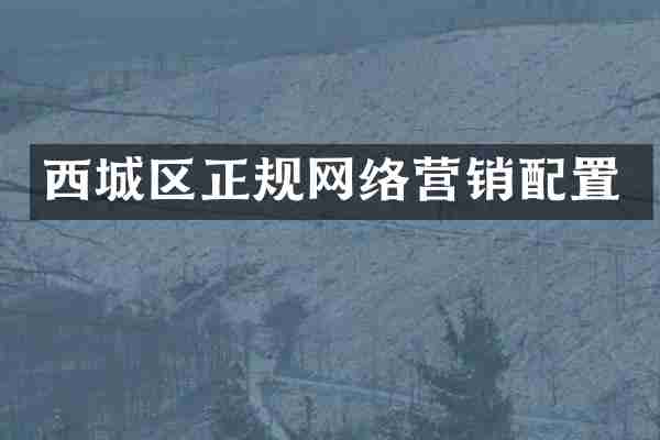 西城区正规网络营销配置