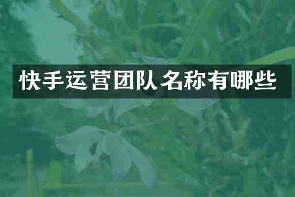 快手运营团队名称有哪些