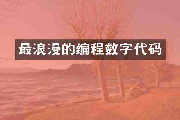 最浪漫的编程数字代码