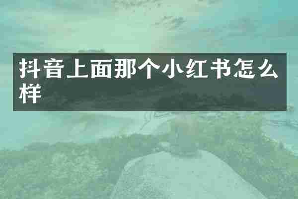 抖音上面那个小红书怎么样