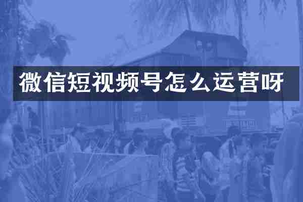 微信短视频号怎么运营呀