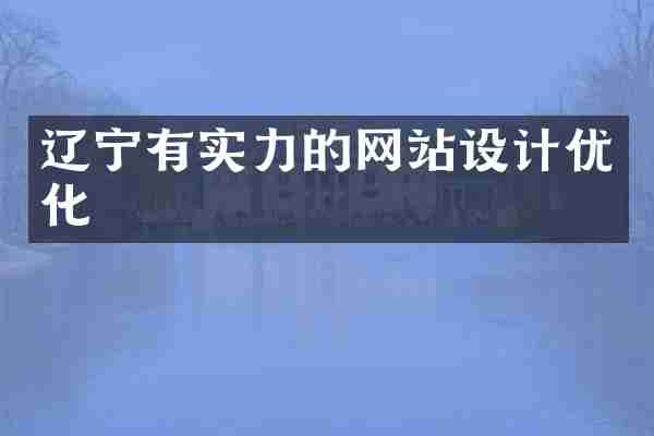 辽宁有实力的网站设计优化
