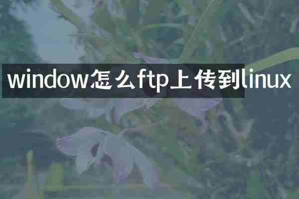 window怎么ftp上传到linux