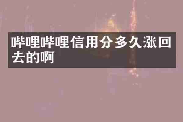 哔哩哔哩信用分多久涨回去的啊