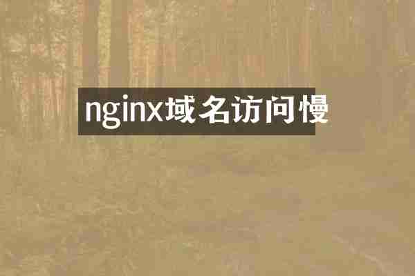 nginx域名访问慢