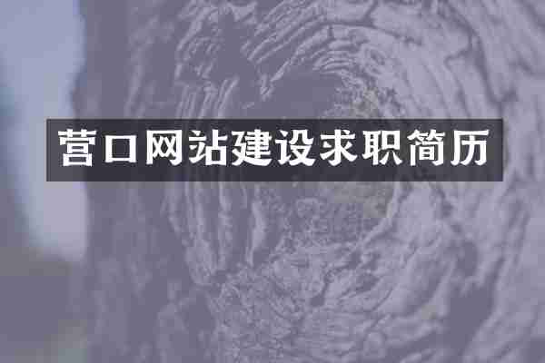 营口网站建设求职简历