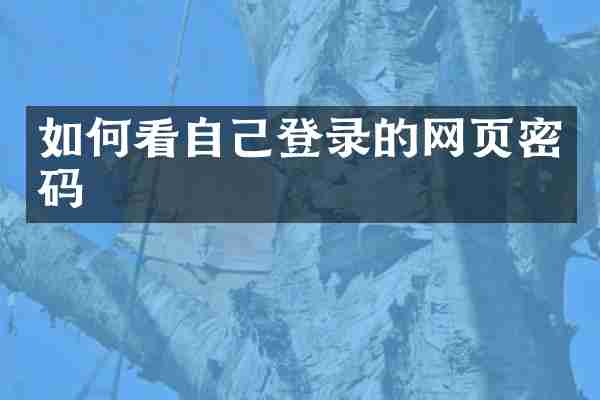 如何看自己登录的网页密码