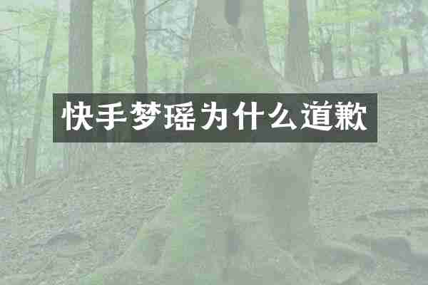 快手梦瑶为什么道歉