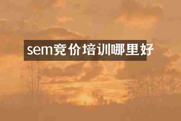 sem竞价培训哪里好