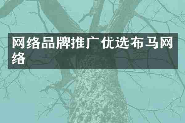 网络品牌推广优选布马网络