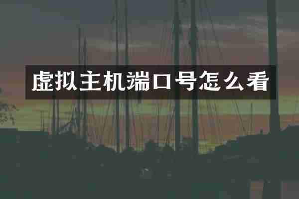虚拟主机端口号怎么看
