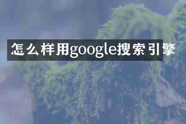 怎么样用google搜索引擎