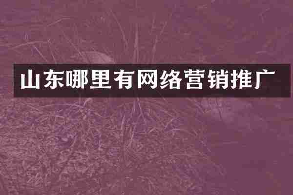 山东哪里有网络营销推广