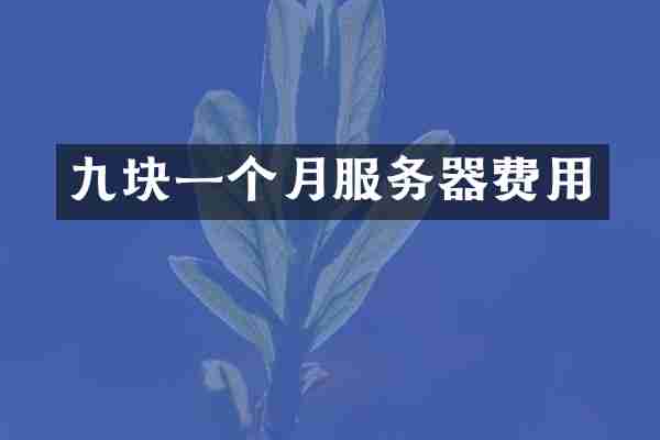 九块一个月服务器费用