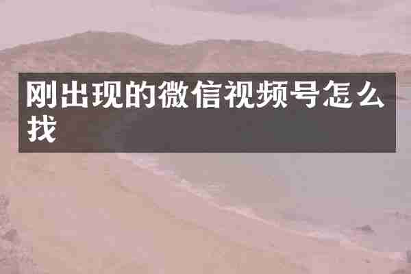 刚出现的微信视频号怎么找