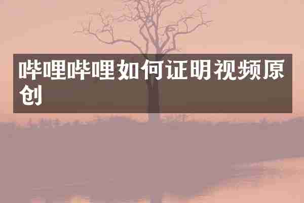 哔哩哔哩如何证明视频原创