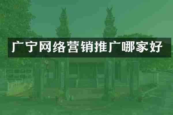 广宁网络营销推广哪家好