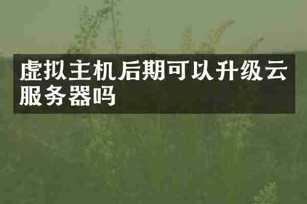 虚拟主机后期可以升级云服务器吗