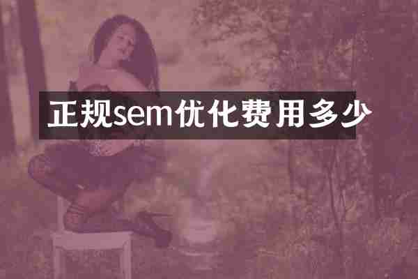 正规sem优化费用多少