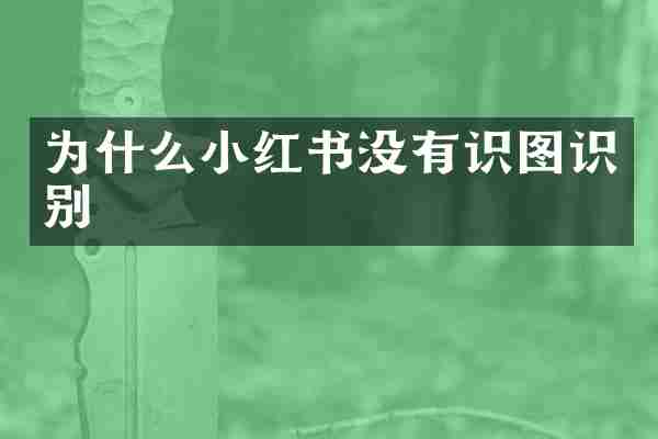 为什么小红书没有识图识别