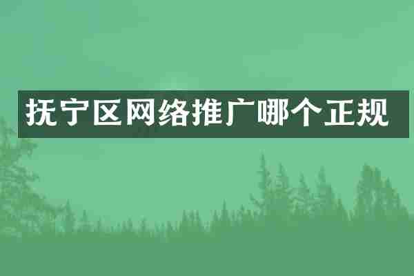 抚宁区网络推广哪个正规