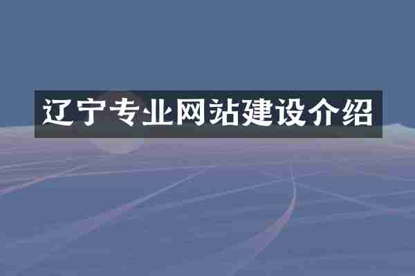 辽宁专业网站建设介绍