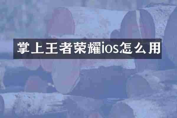 掌上王者荣耀ios怎么用