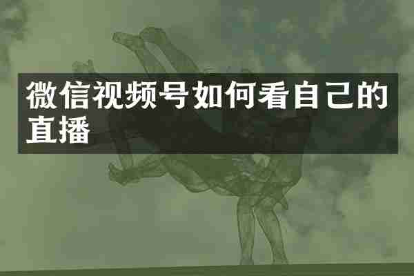微信视频号如何看自己的直播
