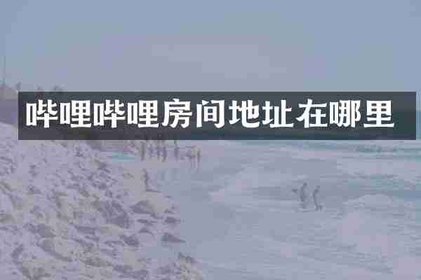 哔哩哔哩房间地址在哪里