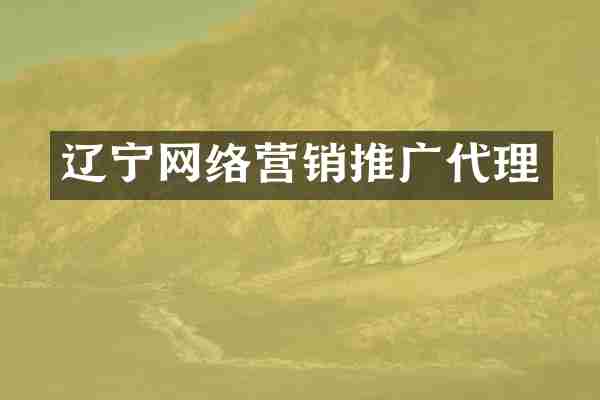 辽宁网络营销推广代理