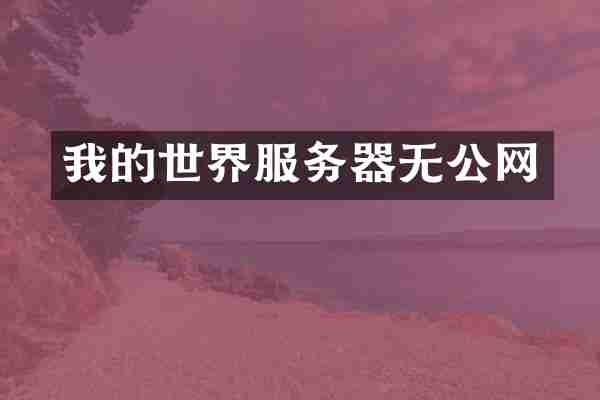 我的世界服务器无公网