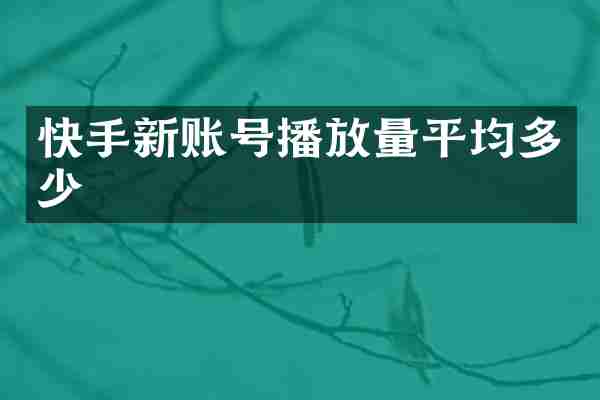 快手新账号播放量平均多少