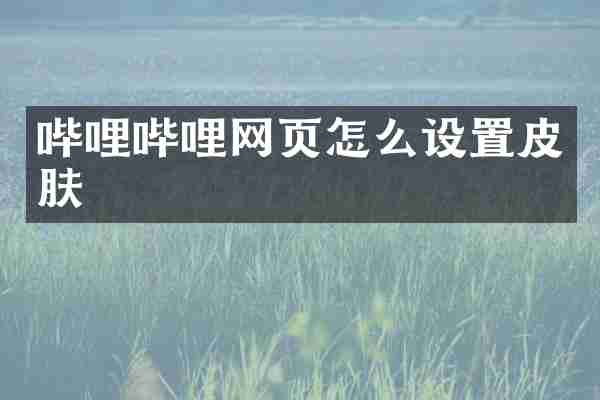 哔哩哔哩网页怎么设置皮肤