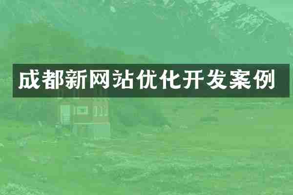 成都新网站优化开发案例