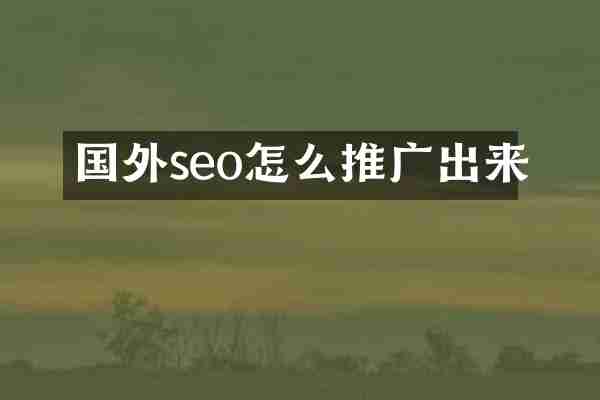国外seo怎么推广出来