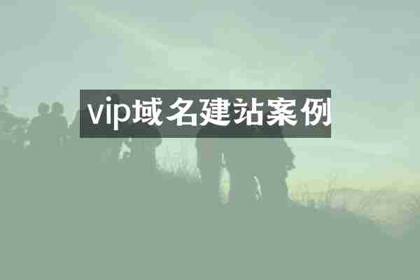 vip域名建站案例