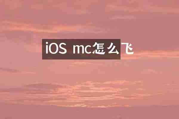iOS mc怎么飞