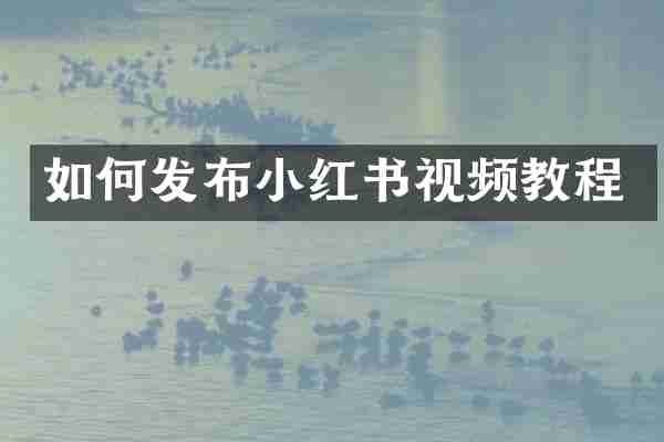 如何发布小红书视频教程