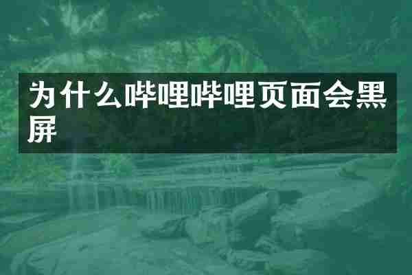 为什么哔哩哔哩页面会黑屏