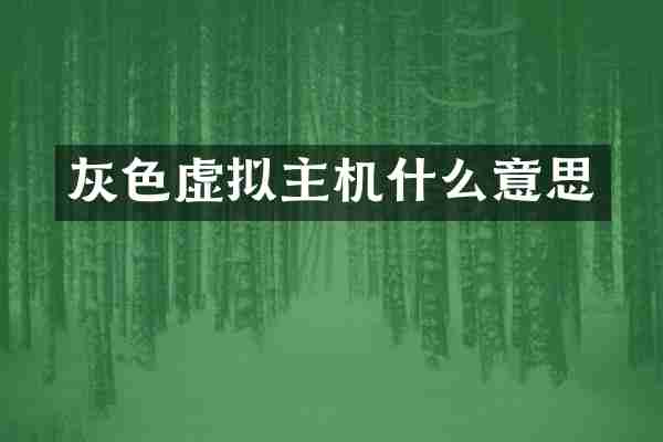 灰色虚拟主机什么意思