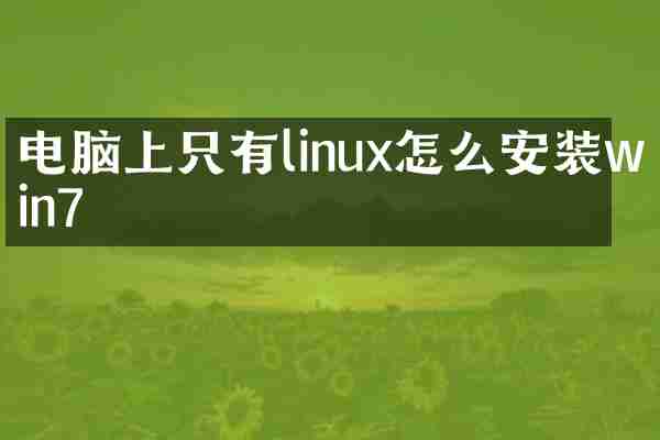 电脑上只有linux怎么安装win7